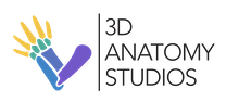 3D Anatomy Studios