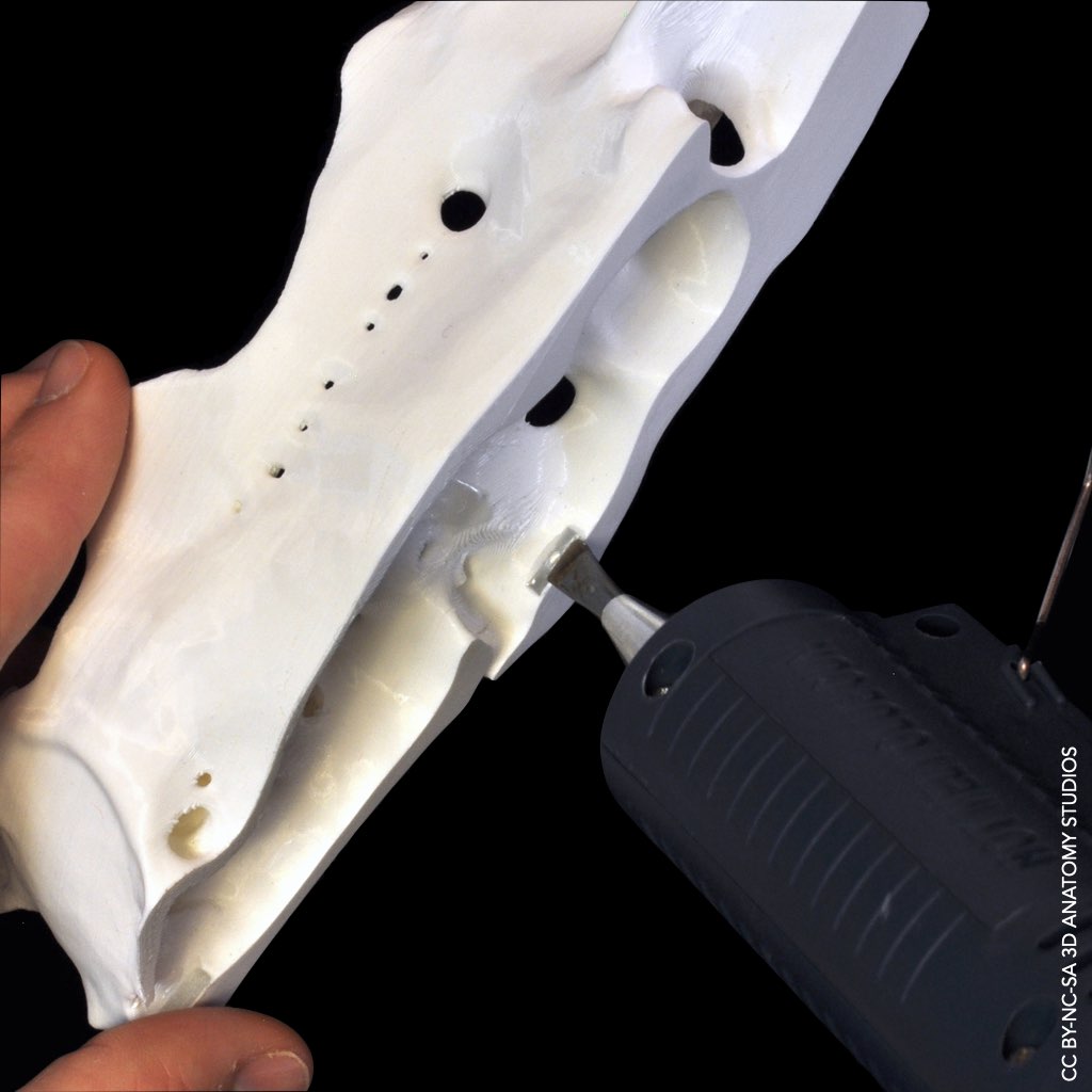 Photo of a plastic heat gun injecting melted plastic into a magnet compartment along the edge of a 3D printed shark braincase