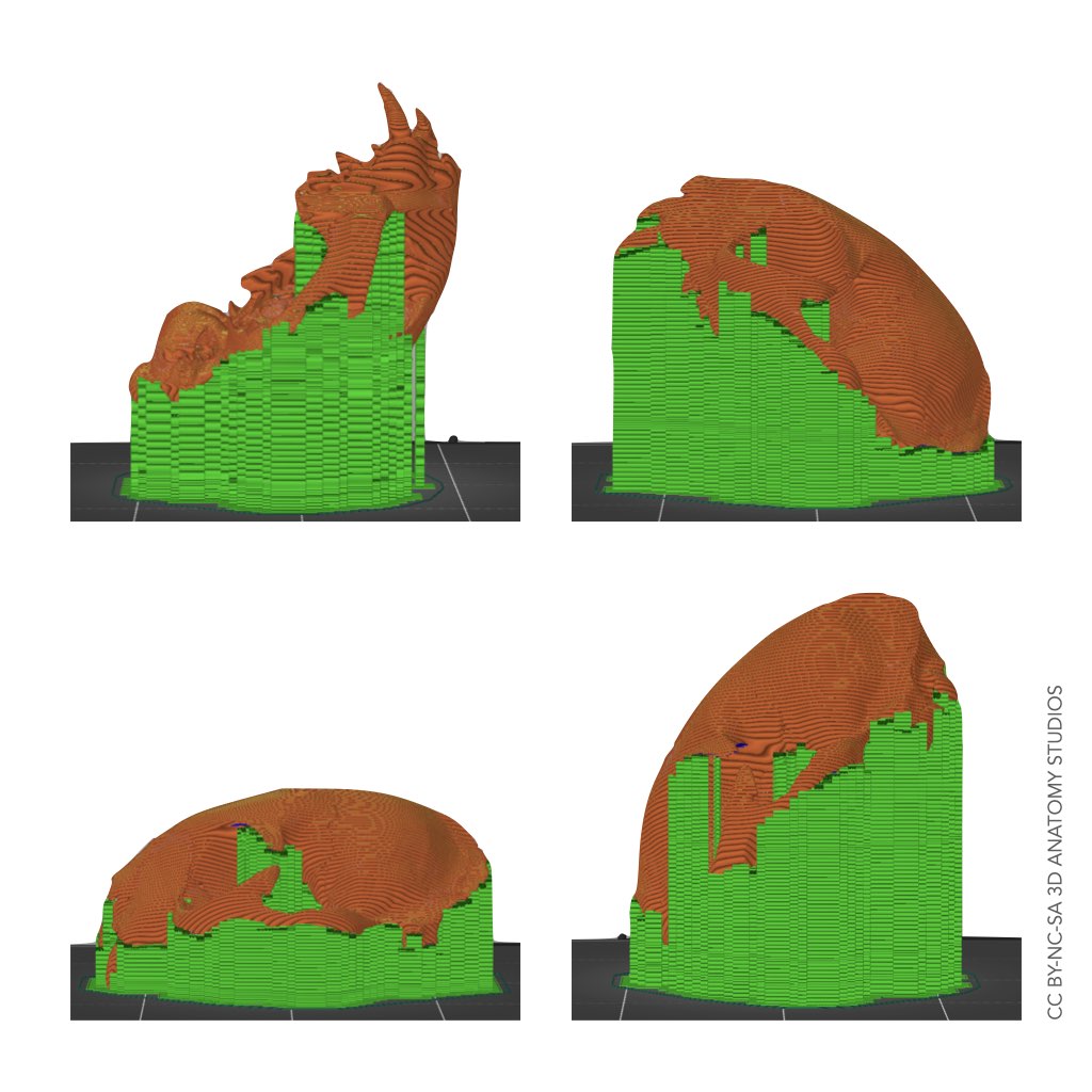 Screenshots from PrusaSlicer of a cat cranium on a 3D printer bed in four different orientations and four corresponding different support arrangements
