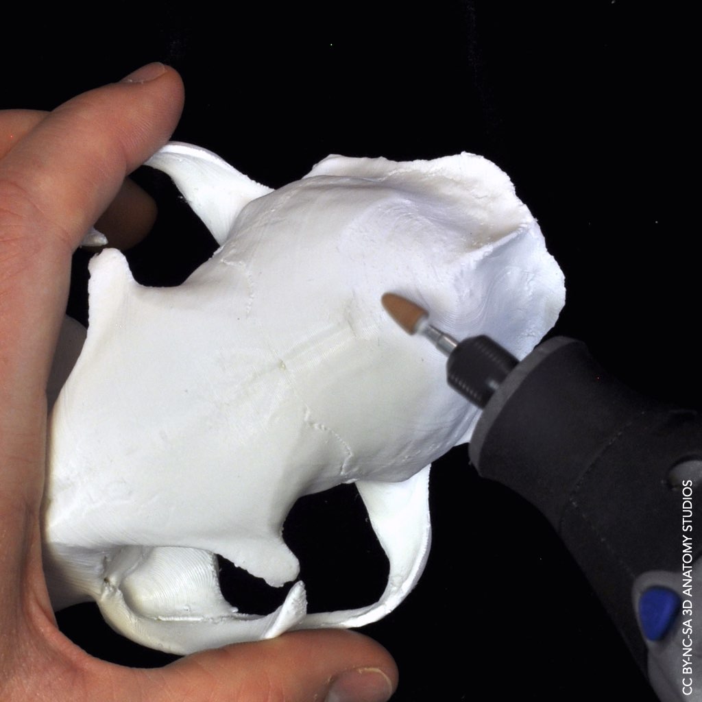 Photo of a Dremel tool with a 952 grinding stone attachment used to clean the surface of a 3D printed cat cranium