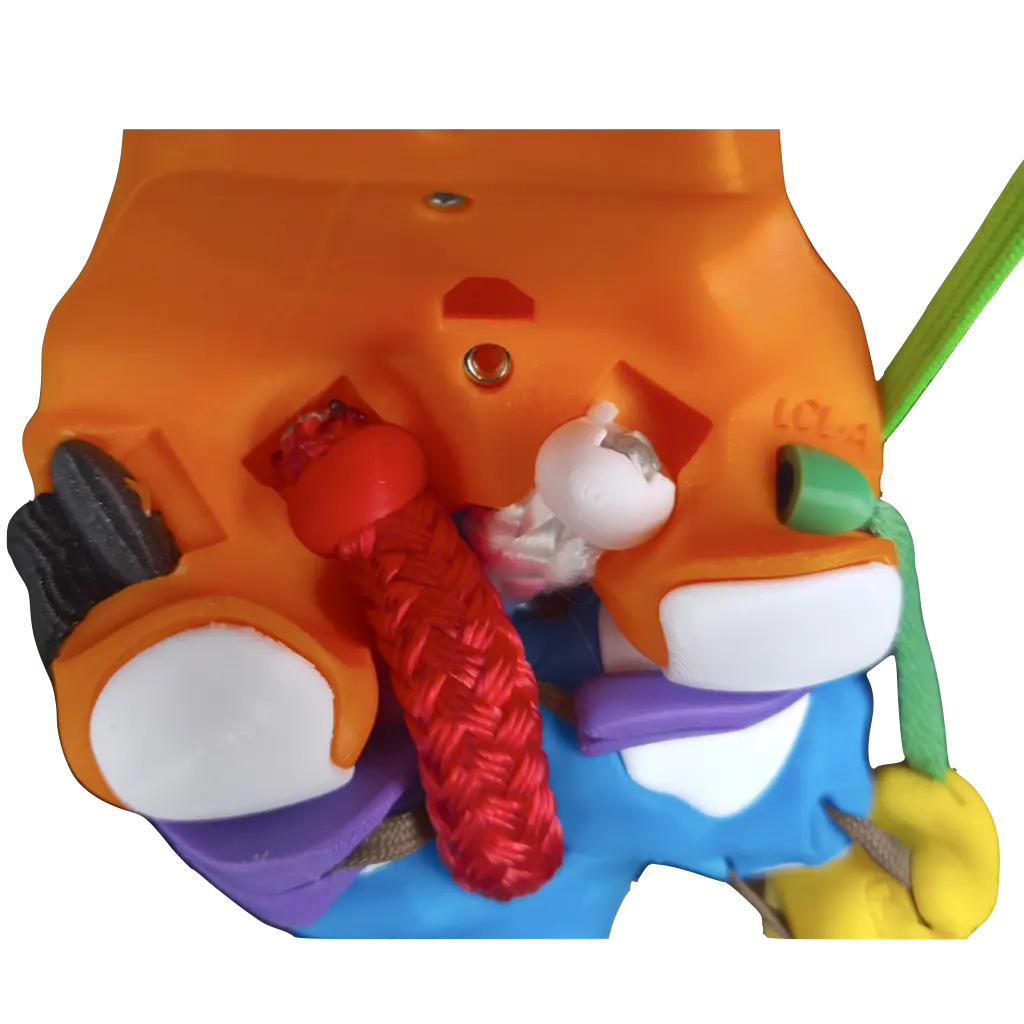 Photo femur access door open with all ligaments in place from a posterior view